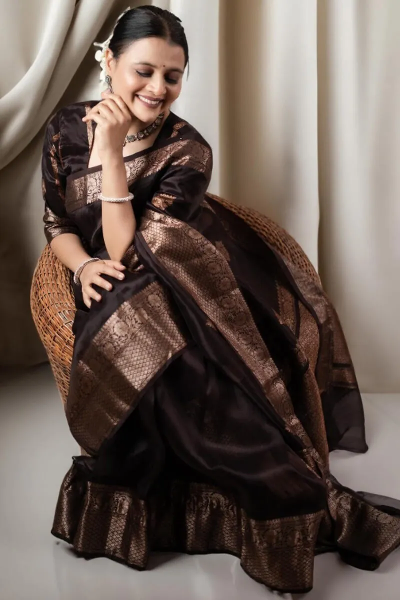 Prettiest Brown Soft Silk Saree With Designer Blouse Piece