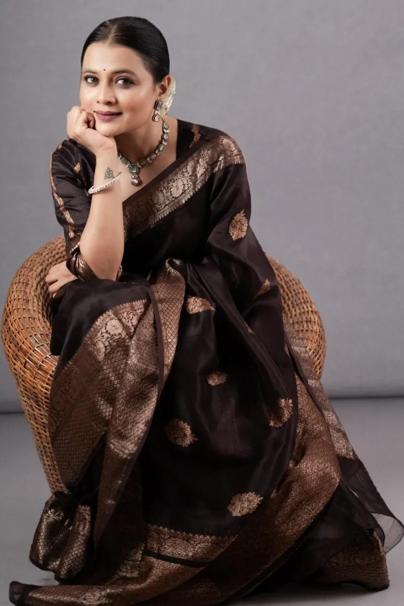 Prettiest Brown Soft Silk Saree With Designer Blouse Piece