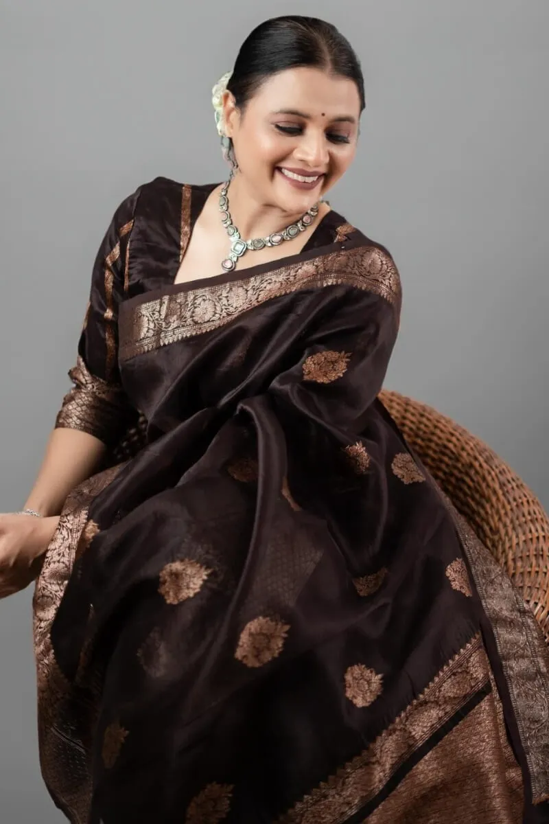 Prettiest Brown Soft Silk Saree With Designer Blouse Piece